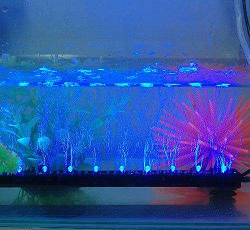 LED水底燈使用時，需要注意哪些事項(圖1)